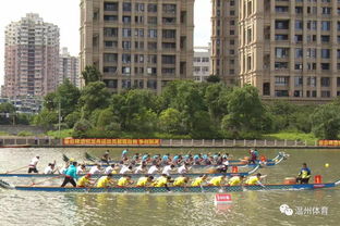 骄阳七月，激流勇进——温州市龙舟俱乐部联赛首站圆满举行